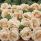 Enhance Your Home Decor with Set of 6 Cream 20" Artificial Silk Rose Buds